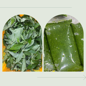 Les feuilles de manioc en purée de qualité supérieure du Vietnam, de Kim Minh International - Product Image 4