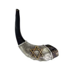 Gris Extra grande Kosher Kudu Ram Sheep Shofar Cuerno musical Inodoro Regalo judío Mujeres Hombres Auténtico Natural Medio pulido - Product Image 4