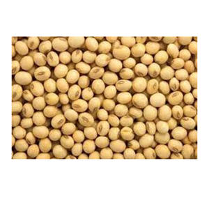 Fresh Green Pure Natural Additive-free Dried <b>Soybeans</b> Bulk for Sale - Product Image 4
