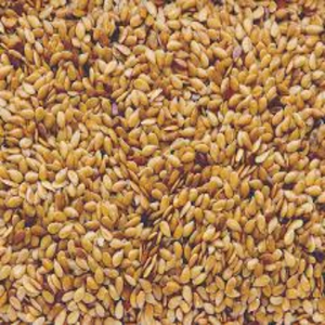 Suministro a granel de semillas de lino frescas y secas de alta calidad, semillas de lino marrones naturales y limpias para la venta industrial. - Product Image 2