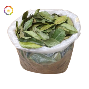 Feuilles de corossol séchées, matière première, emballage en vrac - Product Image 2