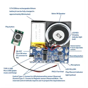 Mini Greeting Card Button Control Sound Chip Type C-USB Recordable Music Voice Sound Chip Sound Module For Greeting Cards