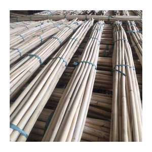 Matériaux solides naturels de rotin de poteaux de canne de rotin pour faire des meubles de l'usine du Vietnam - Product Image 4