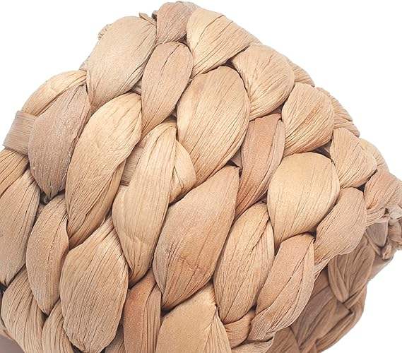 ธรรมชาติ