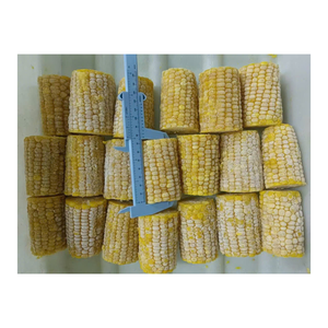 MAÍZ DULCE ENTERO IQF NATURAL GOLD DATA CON LOGO PERSONALIZADO, MEJOR PRECIO A PARTIR DE 99, CONGELADO/AL VAPOR, GRANOS DE MAÍZ DULCE EN PAQUETES DE 1KG/500G - Product Image 2