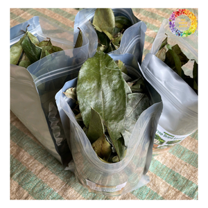 กัวนาบานากริโอลาแห้งจากเวียดนามขายดีทั้งใบทำแห้งกราวิโอลาแห้งสำหรับชงชา - Product Image 2