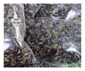 Fleur de pois papillon bleu biologique de haute qualité séchée pour le thé santé Emballage personnalisé disponible en sachets de 50g 100g - Product Image 1