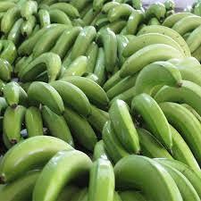 Fournisseur de bananes Cavendish fraîches de qualité supérieure au Vietnam - Product Image 4