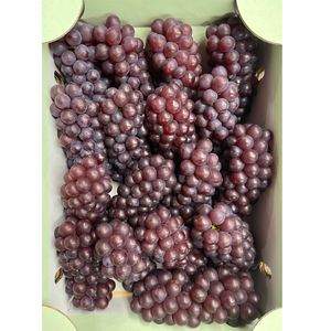 Uvas orgánicas japonesas sin semillas Calidad superior Fresh Purple Farm Grown Grado superior Vida útil de 12 meses para exportación a granel al por mayor - Product Image 4