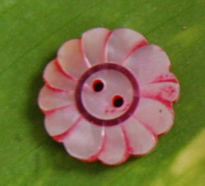 Botones de Concha Marina Tallados y Pulidos con Acabado Realista, Motivos Florales para Arte y Coleccionismo - Product Image 3