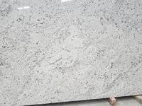 Carreaux de granit blanc neige poli de conception moderne pour l'application de villa