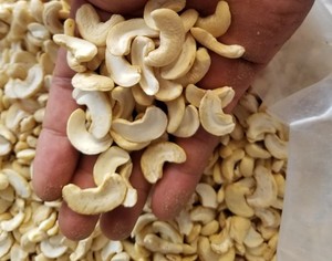 Hoge Kwaliteit Cashewnoten Rijk Aan Voedingsstoffen Internationale Best Verkochte Snack Een Geweldige Keuze Voor Een Bevredigende Snack