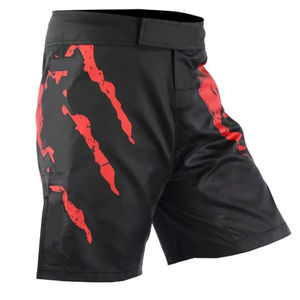 Short MMA respirant avec fentes latérales et ceinture solide offrant confort force et contrôle pendant la performance pour les hommes - Product Image 3
