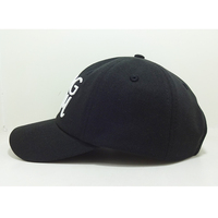 Gorras de Béisbol Deportivas de Felpa con Texto Bordado, Marca VN, Gorra Casual para Hombre y Mujer, Promoción de Marca, L1