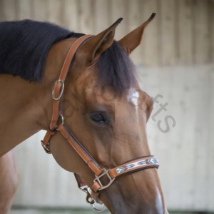 Licou de cheval en cuir élégant avec accents perlés et boucles réglables en acier inoxydable - Product Image 3