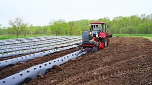 Film de paillage agricole pour la protection des cultures, la rétention de l'humidité du sol et l'amélioration du rendement agricole - Product Image 3