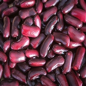 EXPORT SUPER Organic Bulk Wholesale Dried Dark Red Kidney <b>Beans</b> | Sugar <b>Beans</b> for Export - Product Image 1