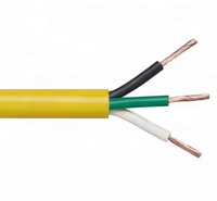 Meistverkauftes Schwarz/Gelb/Weißes Gummi/PVC-Ummanteltes 3-Adriges RVV Kupfer Hitzebeständiges Elektrokabel für Heizungen