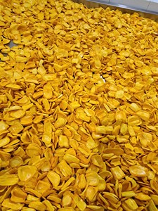 Tranches de banane séchées FD rondes et sucrées en vrac, collation naturelle du Vietnam pour la transformation alimentaire et la finition des desserts - Product Image 2