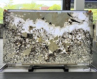 Dalle de quartzite Pandora Patagonia naturelle rétroéclairée, motif « Proud As a Peacock », pour panneau mural, table à manger et plan de travail d'îlot