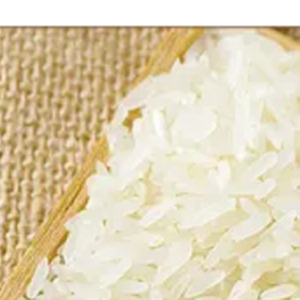 Arroz Blanco de Alta Calidad, Arroz Jazmín de la Mejor Fábrica de Vietnam - PRECIO COMPETITIVO - Product Image 1