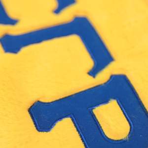 Sigma Gamma Rho SRGho sac en fourrure or doux en peluche fourre-tout élégant grec vêtements élégant sororité sac à main spacieux Durable mode - Product Image 2