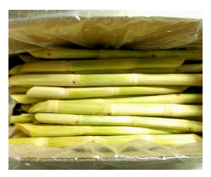 Bâtonnets de canne à sucre congelés de haute qualité fournisseurs du Vietnam canne à sucre sucrée vente en vrac à l'exportation meilleur prix offre de jus de canne à sucre congelé - Product Image 4