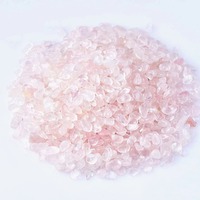 Lampe de sel naturelle NSLT 500g/sac, matériau organique, style fleur sculptée, spécimen Reiki, pierres précieuses, décoration d'aquarium, Europe