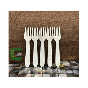 CUCHARA DE MADRE PERLA ECOLÓGICA MATERIAL DE CONCHA NATURAL AL POR MAYOR PARA HELADO CAFÉ POSTRE LOGOTIPO PERSONALIZADO - Product Image 6