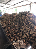 Coquilles de noix de coco de qualité supérieure pour l'exportation utilisées dans le charbon de bois de Shisha et l'artisanat de décoration intérieure