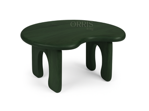 Table basse en bois massif moderne faite à la main, courbes organiques, construction durable, nettoyage facile, couleur personnalisée - Options en bois de sheesham, en chêne - Product Image 4