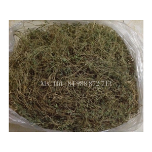 Feuille de melon amer séché entièrement naturel Pour boisson chaude, tisane pour améliorer le système immunitaire - Product Image 4