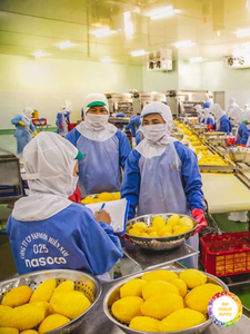 Tranches de morceaux de mangue fraîchement coupées du Vietnam Technologie IQF pour la texture et la saveur Emballage d'exportation en vrac Expédition internationale - Product Image 6