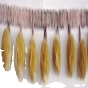 Accesorios para prendas de vestir, medidor de color azul y blanco con flecos y Pompón, 30 boleros, para la exportación de diamantes indios - Product Image 2