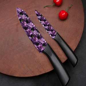 Juego de 6 Cuchillos de Chef Profesionales de Cerámica 2026, Mango de Plástico, Aptos para Lavavajillas, para Caza de Grandes Animales, Despellejado en Campo, Precio de Fábrica - Product Image 4