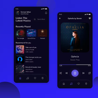 Precios razonables Empresa de desarrollo de aplicaciones Aplicación DE MÚSICA