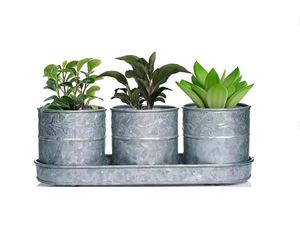 Macetas galvanizadas de forma y tamaño personalizados, macetas y macetas elegantes para uso en jardín doméstico a precio competitivo - Product Image 4