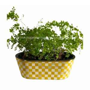 Quemador de Incienso con Incrustaciones de Hueso, Caja Acrílica con Tapa Incrustada, Decoración para el Hogar, Almacenamiento, Regalos - Product Image 2