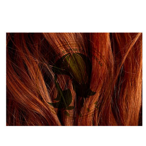 Top Produit Sojat Rajasthan's Real Color Triple Raffiné Poudre de henné vert à base de plantes Couleur semi-permanente - Product Image 1