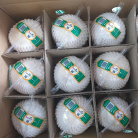 Premium kwaliteit, topklasse verse jonge kokosnoten, diamantvormig, 100% natuurlijk, VILACONIC merk, natuurlijk zoet, 0,5 kg, zomerse drankjes