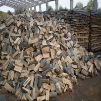 Bois de chauffage de qualité supérieure en vente chaude / Bois de chêne / Hêtre