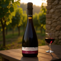 Lambrusco Grasparossa DOC sec, vin mousseux rouge italien rafraîchissant, 750 ml, 6 bouteilles par boîte, de Selva Masacci