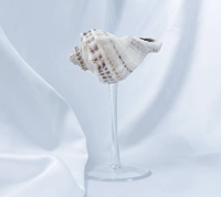 Verre à vin Seashell pour présentation de nourriture de luxe Affichage de fruits de mer et utilisation de table de mariage