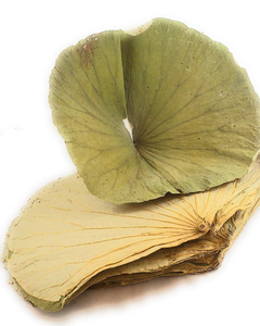Feuilles de lotus séchées de qualité supérieure pour les tisanes et les produits de santé naturels - Product Image 6