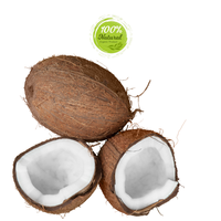 Meilleure noix de coco séchée du Vietnam à chair épaisse, 100% naturelle, complément parfait pour les compotes de fruits tropicaux