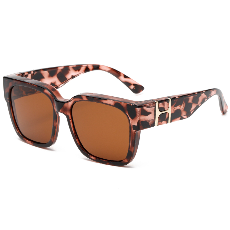 C3: Tortoise/ Brown
