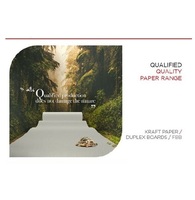 Vente à chaud 180GSM-350GSM Papiers de carton duplex en pâte enduite Stocklot gris brut à rouler à haute brillance Fournisseurs de confiance Imprimer