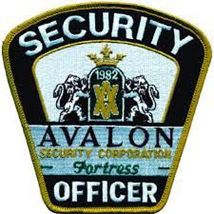 Parches bordados de diseño personalizado A precio de fábrica, insignias bordadas para planchar, parche para ropa, parches de sarga personalizados para planchar - Product Image 3