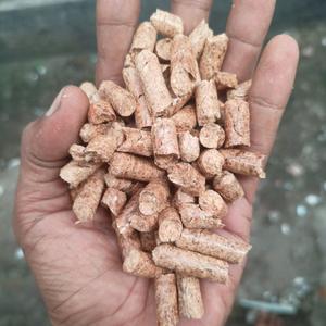 Briquettes de bois de pin de qualité supérieure et granulés de bois de chauffage 6mm et 8mm granulés de bois de chêne combustible - Product Image 1