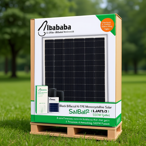 แผงโซลาร์เซลล์แบบโมโนคริสตัลไลน์ชนิด N สีดำแบบสองหน้า 550 วัตต์ บรรจุบนพาเลท - Product Image 3